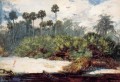 En una jungla de Florida, el pintor del realismo Winslow Homer